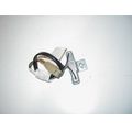 Widerstand (20W, 10 Ohm)<br>Zustand: Gebraucht ohne Mngel<br><br>Verwendbar fr: Honda FES 250 Foresight, Typ: MF04, Modelljahr: von 01/1997 bis 12/2001
