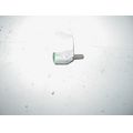 Temperaturfhler (2-polig)<br>Zustand: Gebraucht ohne Mngel<br><br>Verwendbar fr: Honda VTR 1000 F Firestorm, Typ: SC36, Modelljahr: von 01/1997 bis 12/2006