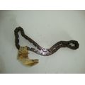 Steuerkette klein<br>Zustand: Gebraucht ohne Mngel<br><br>Verwendbar fr: Kawasaki Zephyr 1100, Typ: ZRT10A, Modelljahr: von 01/1992 bis 12/1995