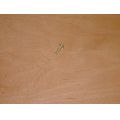 Cockpitgehuse-Schraube<br>Zustand: Gebraucht ohne Mngel<br><br>Verwendbar fr: Yamaha FJR 1300 A, Typ: RP08, RP11, Modelljahr: von 01/2003 bis 12/2005