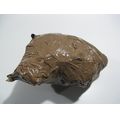Schrauben- und Kleinteilesatz<br>Zustand: Gebraucht ohne Mngel<br><br>Verwendbar fr: Yamaha XV 1900 Midnight Star, Typ: VP23, Modelljahr: von 01/2006 bis 12/2016