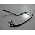 Kabelbaum fr Blinker hinten und Kennzeichen-Beleuchtung<br>Zustand: Gebraucht ohne Mngel<br><br>Verwendbar fr: Ducati Multistrada 950, Typ: AA, Modelljahr: von 01/2017 bis 12/2018